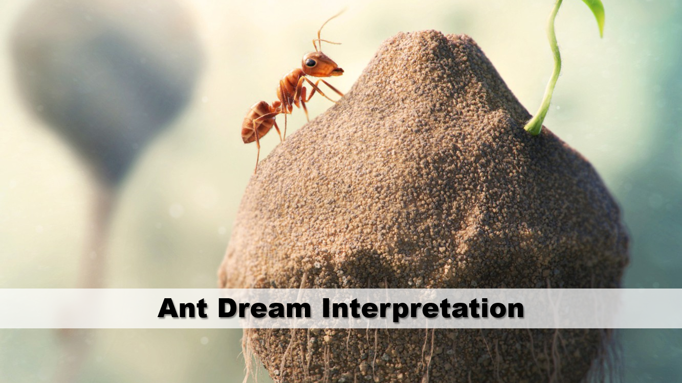 Ant Dream Interpretation