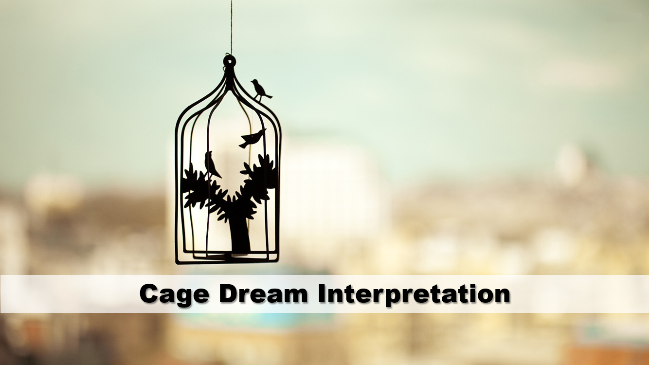 Cage Dream Interpretation