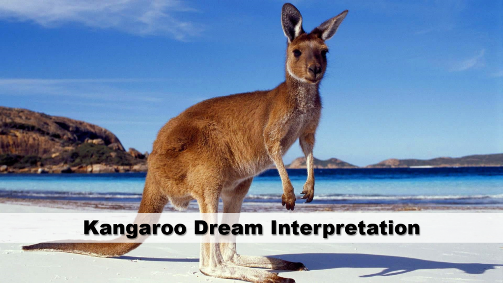Kangaroo Dream Interpretation | Guide To Dreams
