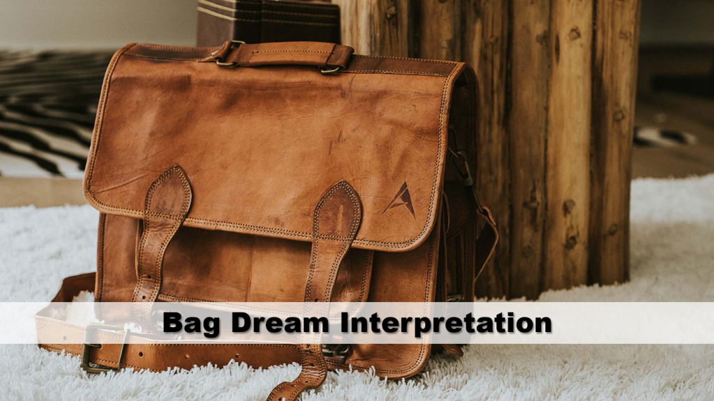travel bag dream meaning