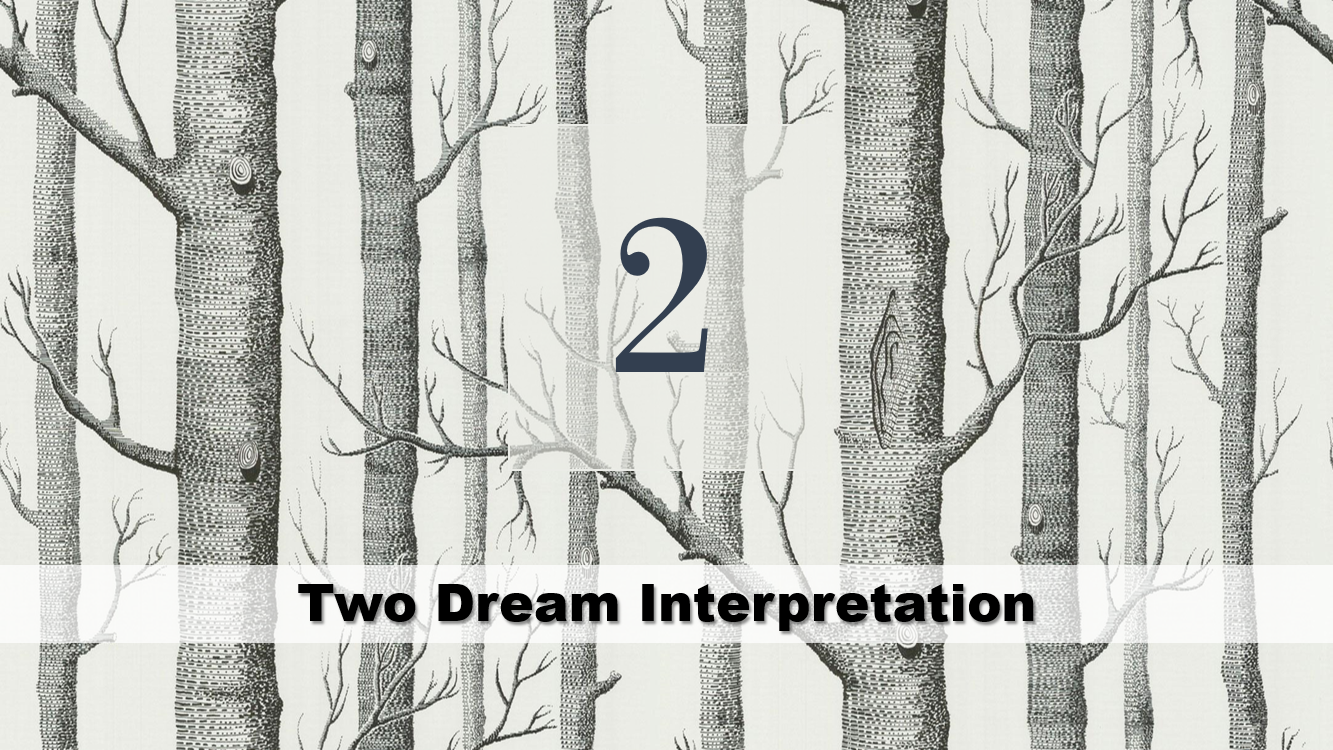 Two Dream Interpretation