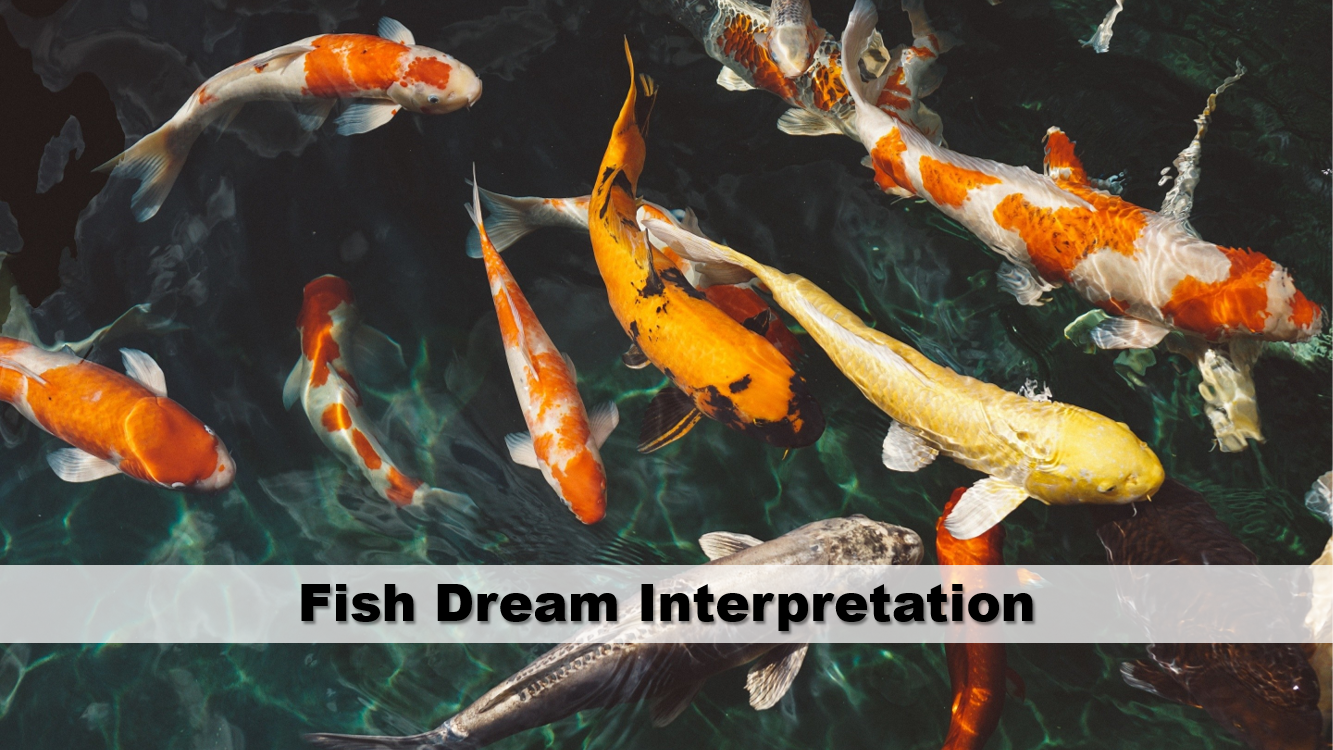 Fish Dream Interpretation
