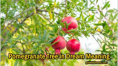 Pomegranate Tree in Dream Meaning